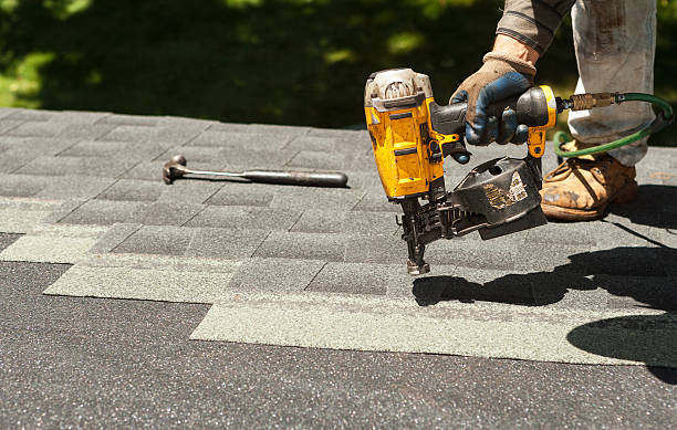 Best Roof Moss and Algae Removal  in Ponderay, ID